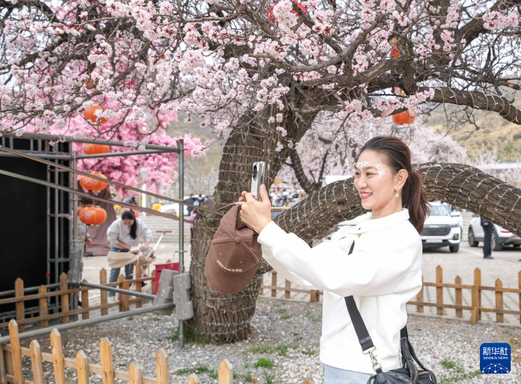 呼和浩特：杏花谷里春意闹_fororder_2025042167622c0ed62e4971a3b6884906e19c9a_20250421211fa76665dc414a9e7be69f84bb933f