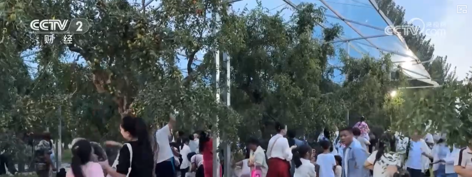 金秋好“丰”景有“智”又有“质” “智慧农业”成农民“靠地生金”硬底气