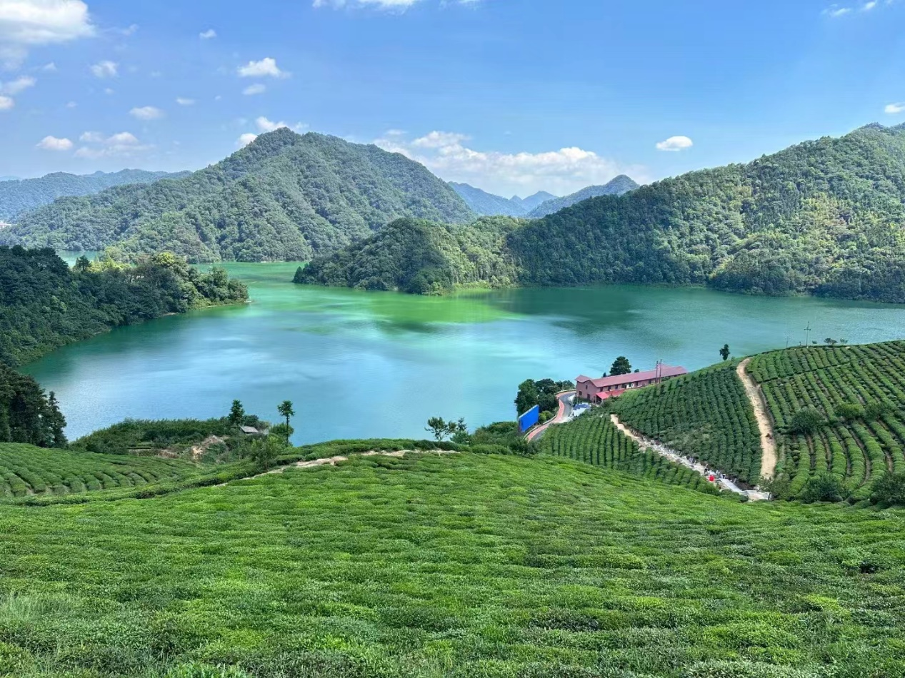 一茶一业一生活 一带一路一黑茶——首届中国黑茶大会在湖南安化县圆满闭幕