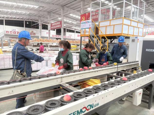 State Grid Shaanxi Electric Power Company Drives High-Quality Local Economic Development_fororder_图片4