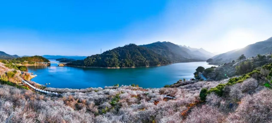 "Liuxi Misty Shores" in Conghua Named One of the 2025 "Eight Sights of Yangcheng"_fororder_图片3