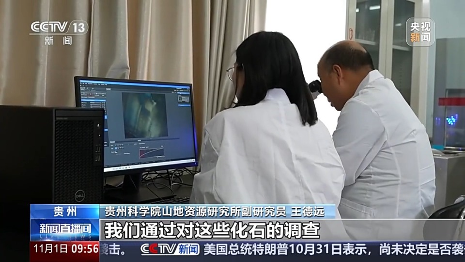 视频丨200万年前大熊猫的大小只有现在的一半？有化石为证