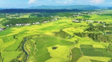 湖南生态田园夏意浓