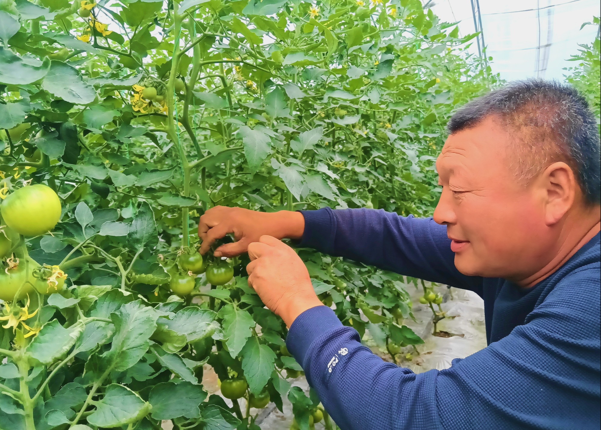 高质量发展看中国|绿色通道达境外 输送三江“一口鲜”