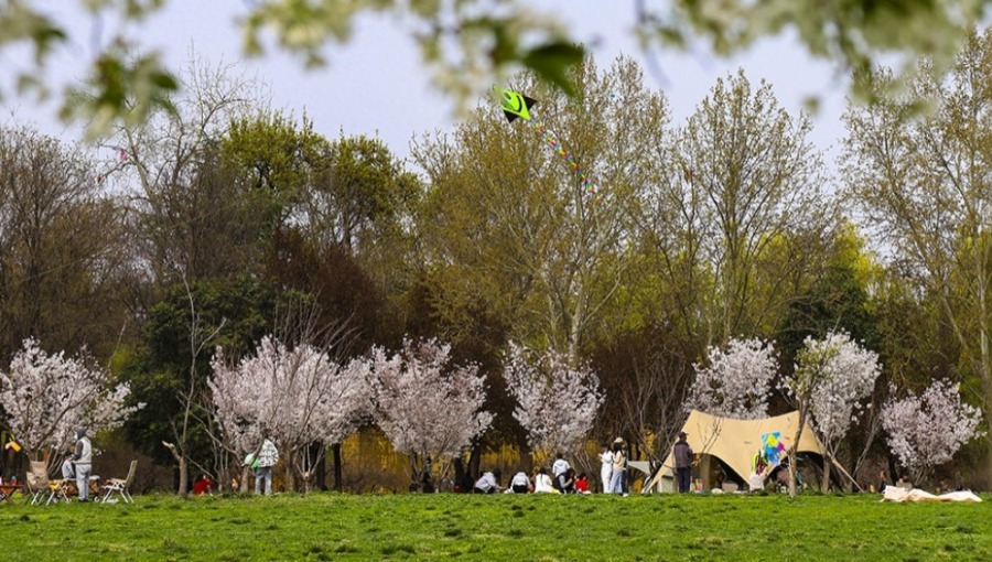 春和景明 文旅消费热度攀升