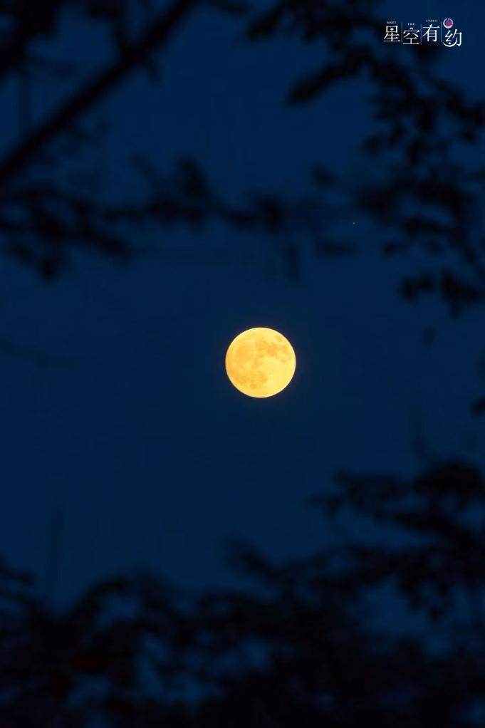 星空有约丨10月“星空剧场”收视指南新鲜出炉