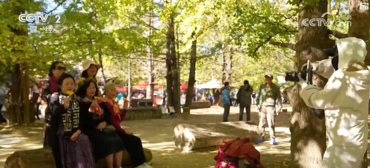 旅游市场淡季不淡 “银发”群体错峰出游成主力