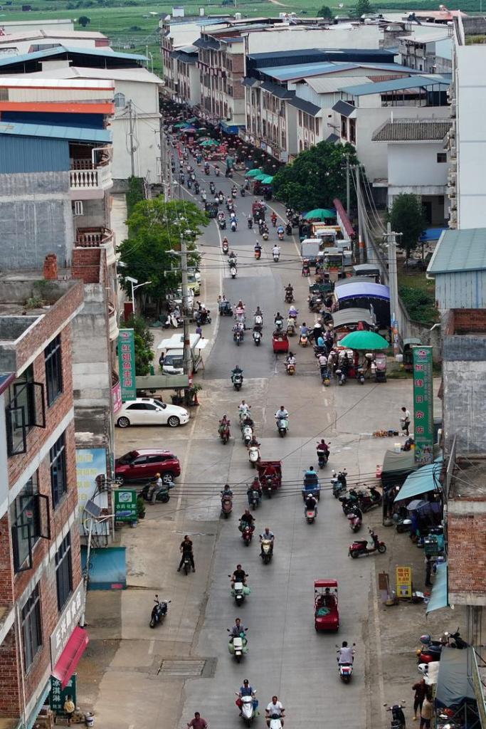 宝藏之城丨这座小城的茉莉花香飘世界