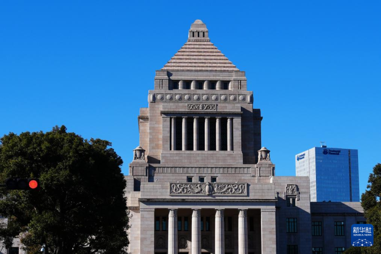 热点问答丨高市早苗为何要提前大选