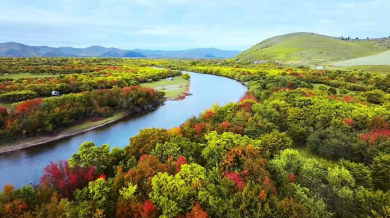 金秋呼伦贝尔：湿地绘就和谐共生新图景