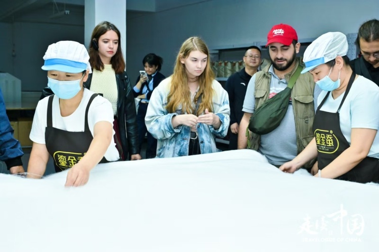 走近石泉池河养蚕故事 外国记者感叹中国乡村振兴新进程