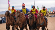 阿拉善骆驼超级联赛圆满收官