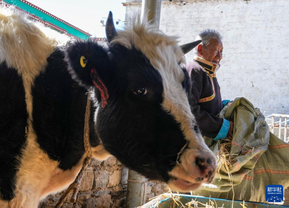 苦难和新生——西藏翻身农奴影像档案：次仁桑珠