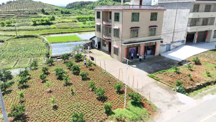 湖南洞口县盘活“方寸闲地” 扮靓“美丽庭院”_fororder_图片3