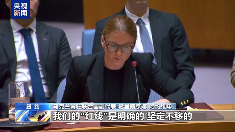 美俄乌安理会交锋 三国立场分歧明显