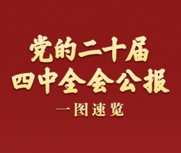 学习新语｜党的二十届四中全会公报一图速览