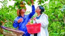 奔向更红火的日子——衡阳市珠晖区“十四五”高质量发展纪实