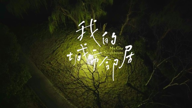 'My City Neighbors' Invites You to Discover the Urban Nature Beneath Your Windows_fororder_我的城市邻居 宣传片 中英文版20251029 - frame at 1m47s