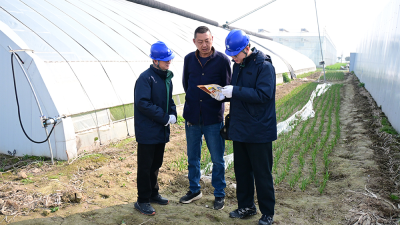 Jiaozuo, Henan: Reliable Power Supply Ensures Stable Production and Income Growth for Specialty Agriculture