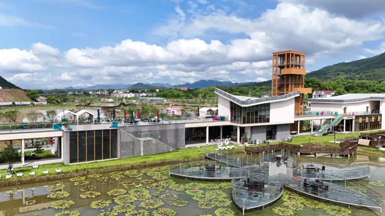 建德：入乡青年以“三重身份”重塑乡村新图景
