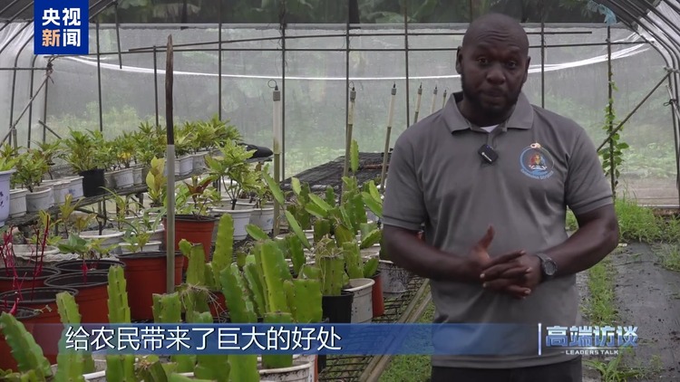 高端访谈丨专访格林纳达总理米切尔