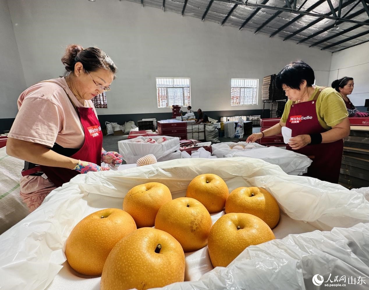 行进中国｜梨乡“金果”链出甜蜜产业