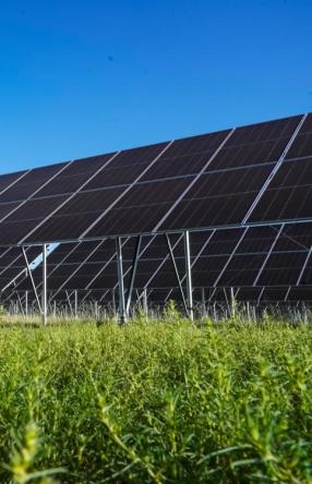 鄂托克前旗绿电输送突破15亿千瓦时！ 绿能攻坚筑牢北疆生态能源双屏障