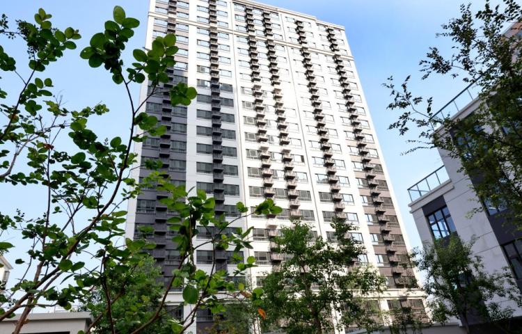 数览中国脉动丨内需潜力释放 激活增长动能