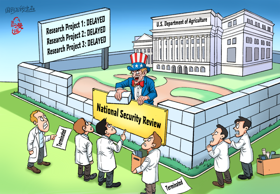 【Editorial Cartoon】A Man-Made "Research Wall"