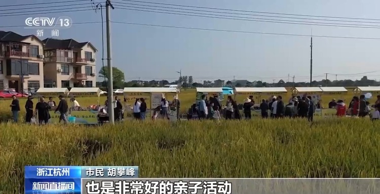 “CEO”竞争上岗 浙江这些乡村成为“流量担当”