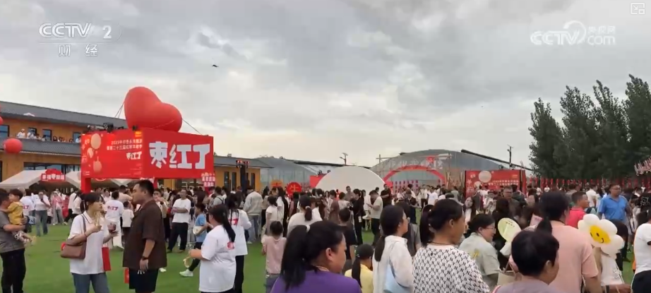 金秋好“丰”景有“智”又有“质” “智慧农业”成农民“靠地生金”硬底气