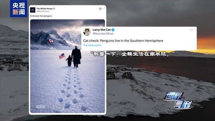 视频丨连抛重磅消息 美“夺岛”野心依旧 欧洲被指“表面强硬”