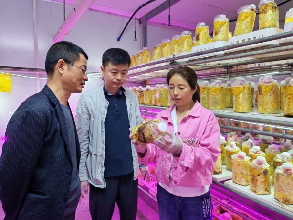 【好评中国·追光青年】共富工坊里的青年工匠