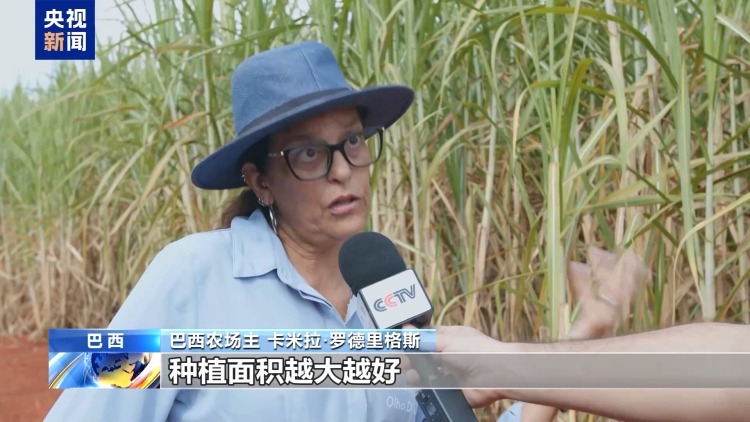 视频丨生物燃料助力巴西应对能源价格上涨