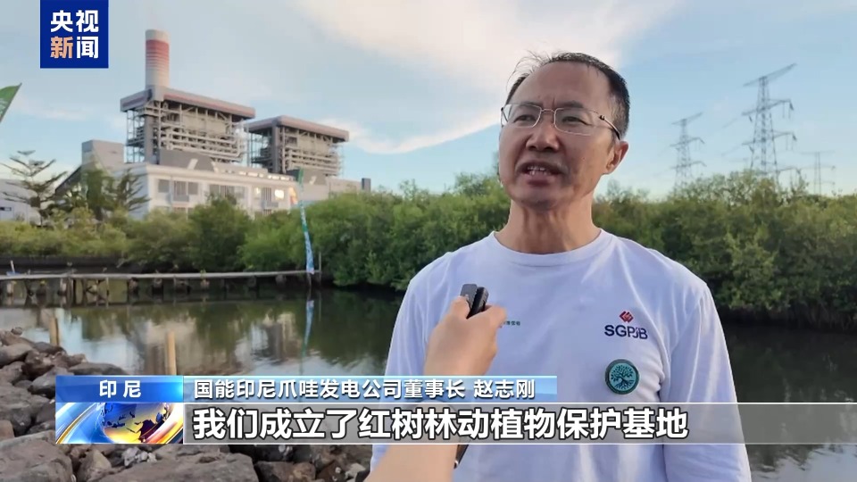 从滩涂到绿洲 中企助力印尼红树林新生