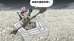 【国际漫评】砍啥不能砍军费