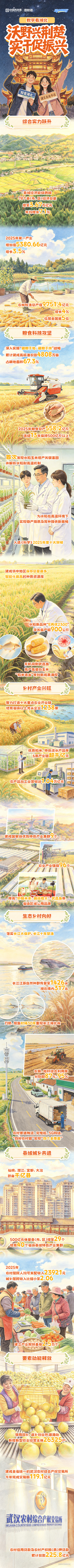 【活力中国调研行】数字看湖北——沃野兴荆楚，实干促振兴