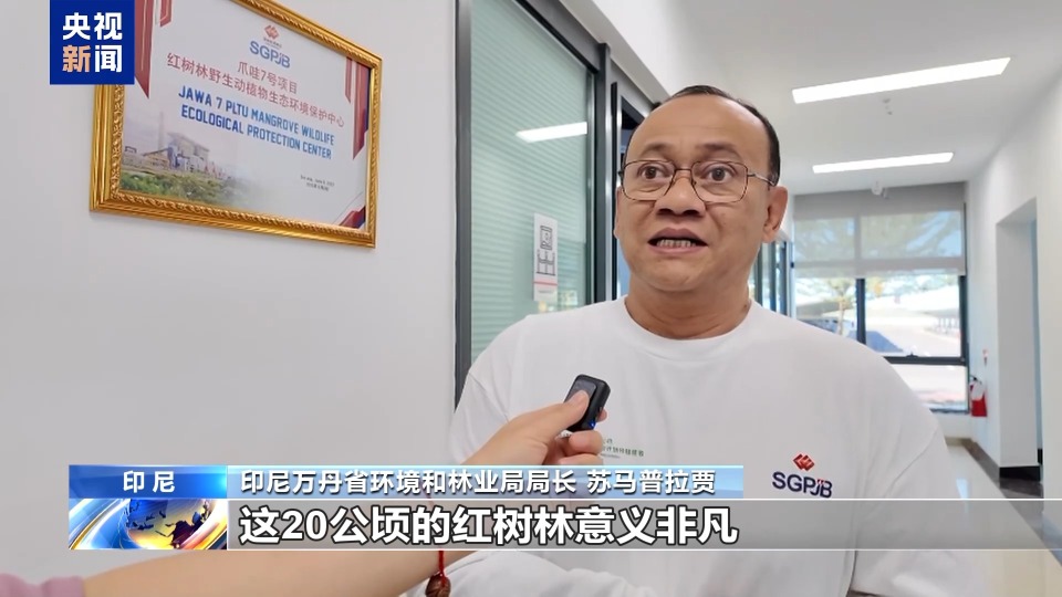 从滩涂到绿洲 中企助力印尼红树林新生
