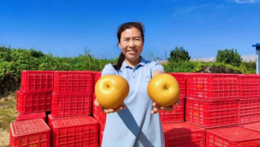 천여 무 규모의 추월배 풍년…옌타이 자오위안 농촌의 새로운 활력_fororder_39f700ceafa94027a507091943369d28.995x747