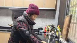 从“看客”到“主角”：合甫人“当家”记