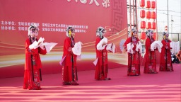 烟火气里品非遗——宝坻新春文化大集解锁新年味