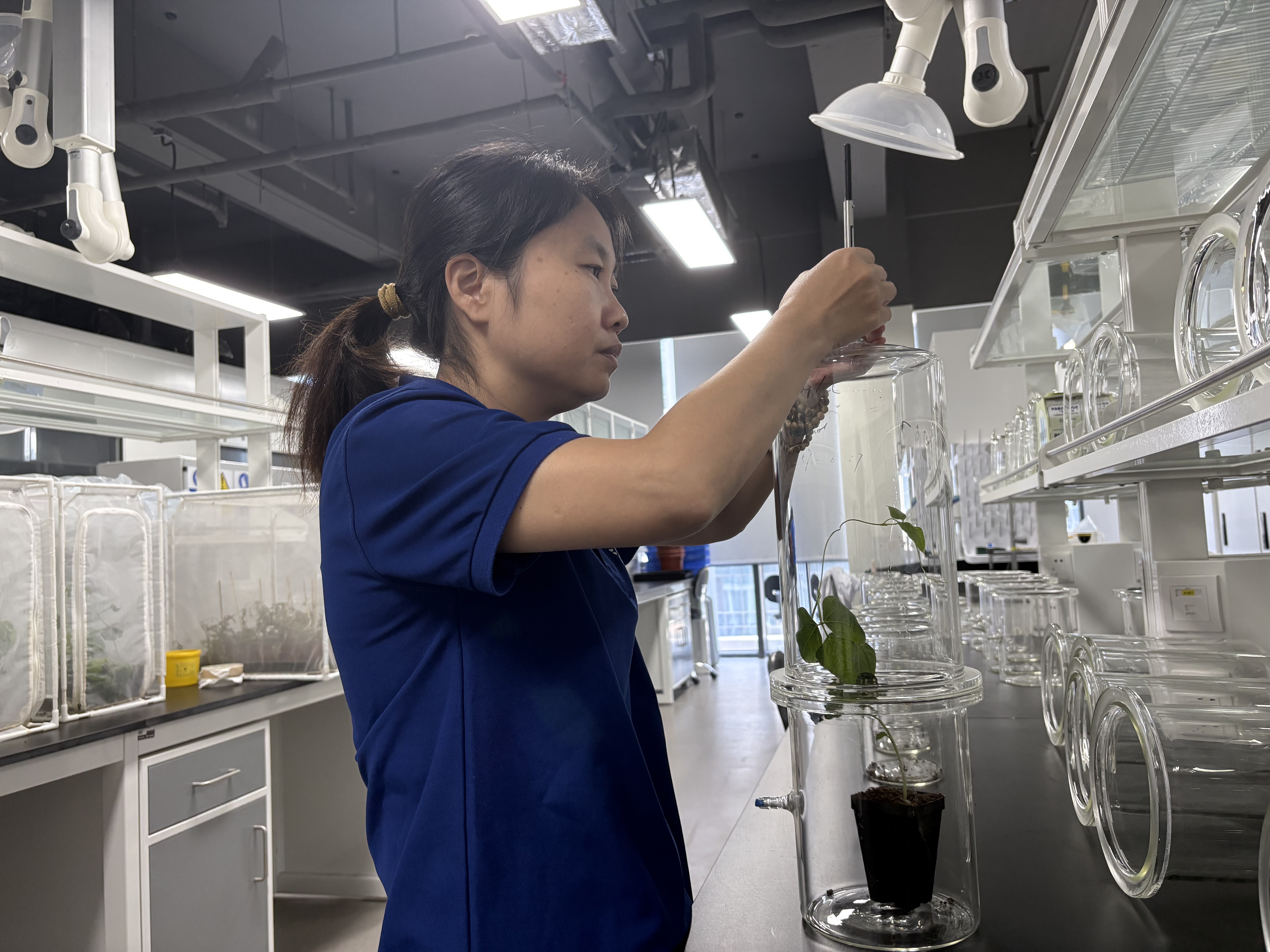 新春走基层｜这个春节，我在南繁基地养虫子