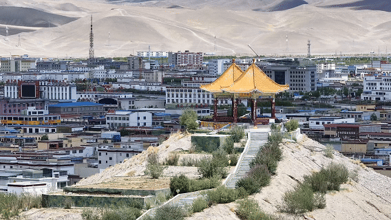 “高冷”经济看发展｜绿意攀高！海拔4000米之上的绿色革命