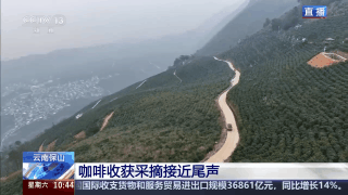 “左手咖啡右手茶” 两张产业名片助力云南经济腾飞