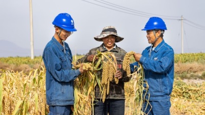 State Grid Zhangye Power Supply Company: Ensuring Reliable Power Supply for Autumn Harvest with Direct Field Services
