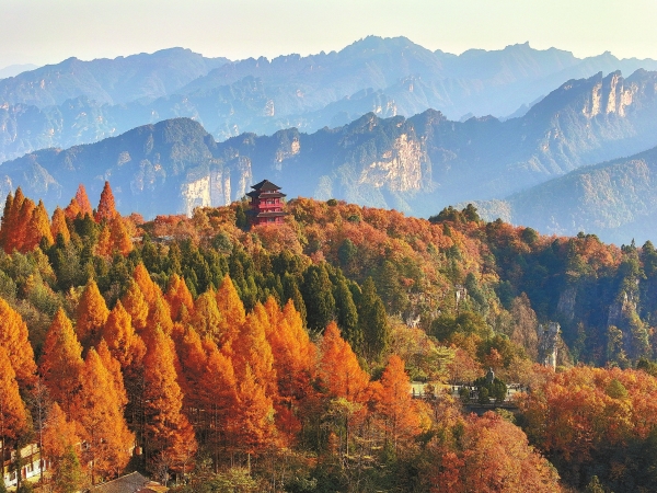 初冬揽胜天子山_fororder_1