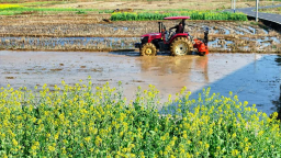 湖南衡东千亩示范片“领绘”春耕备耕图