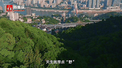 直辖28周年特别策划｜重庆，有滋味