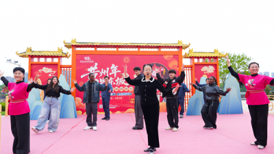 Huanggang, Hubei: A Cultural Exchange Between Power Sector Youth and International Students