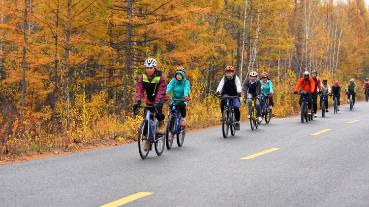 Inner Mongolia's Greater Khingan Range Welcomes "Golden Autumn" as Ecotourism Sees a Boom_fororder_图片27